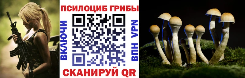 Купить Кимовск Галлюциногенные грибы Psilocybine cubensis